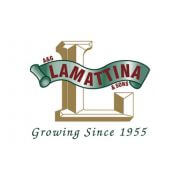 A&G Lamattina & Sons