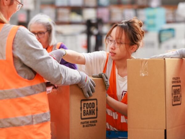 Cape Grim cattle Tasmania