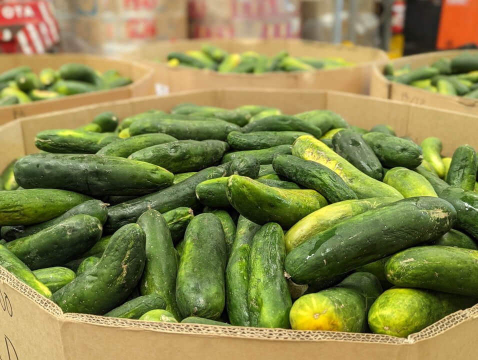 Omega Fresh ups the ante