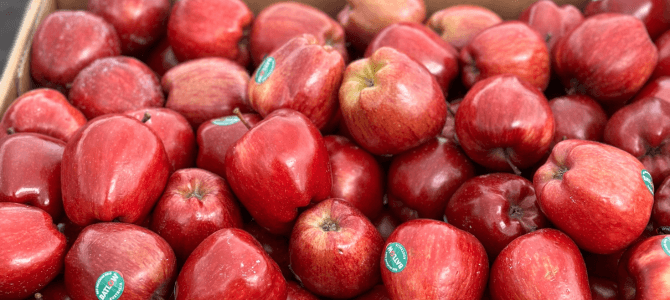 Hand holding fresh tomatoes 